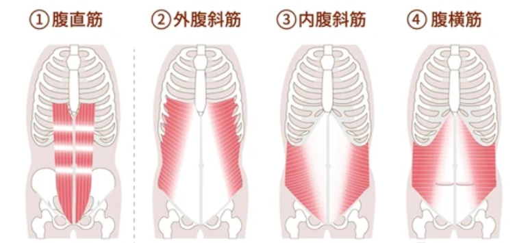 腹筋　鍛え方　腹筋の種類